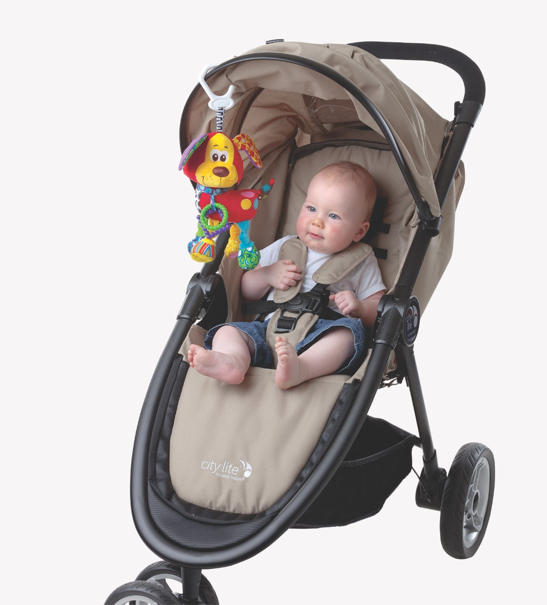 Buy Activity Friend Pookie Puppy (BD) | Yallatoys.com