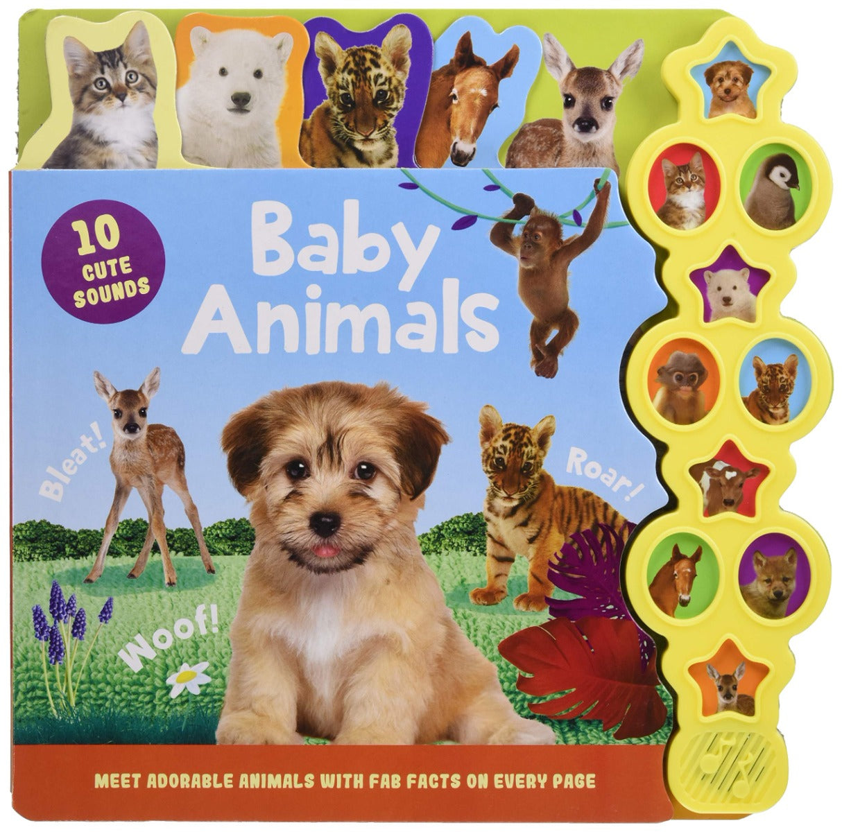 Buy Igloo Books Baby Animals with Sound Book | Yallatoys.com