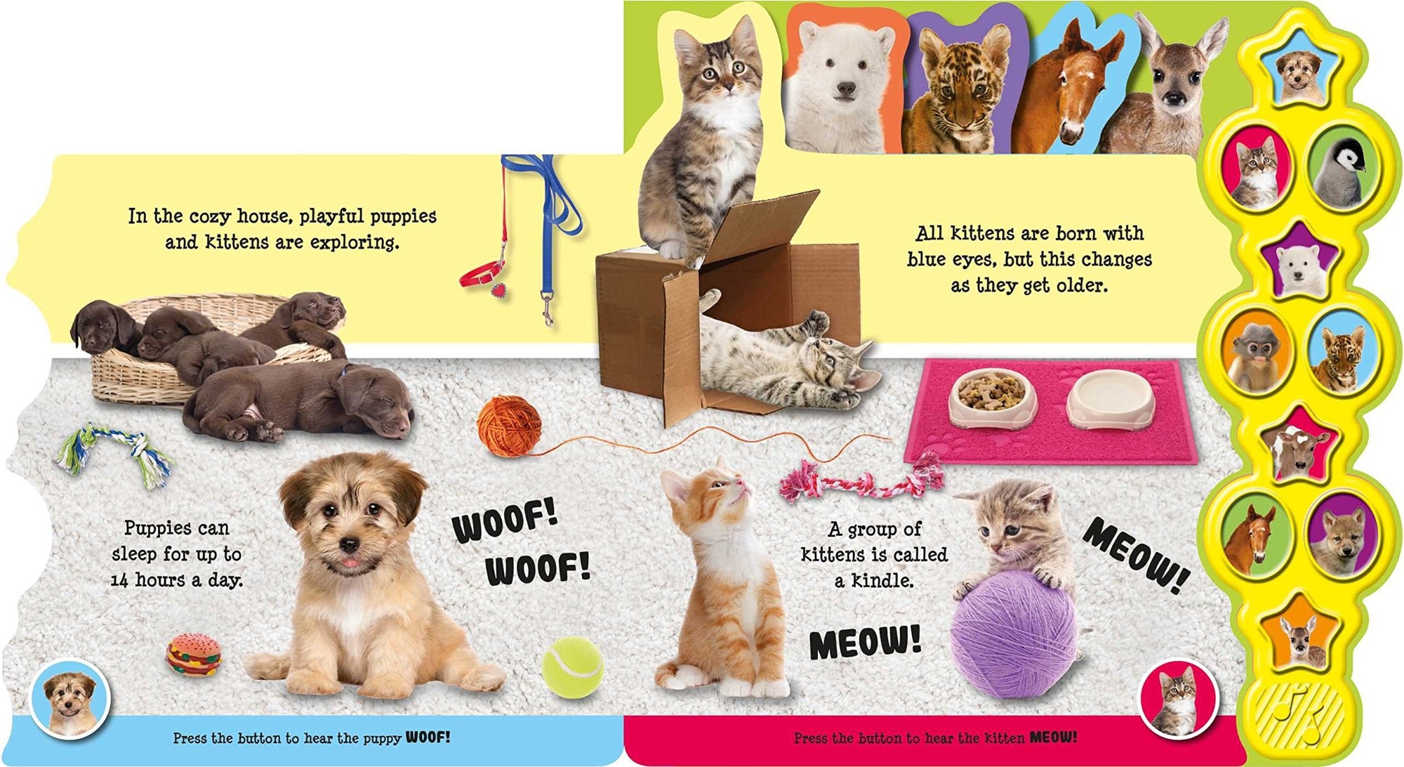 Buy Igloo Books Baby Animals with Sound Book | Yallatoys.com