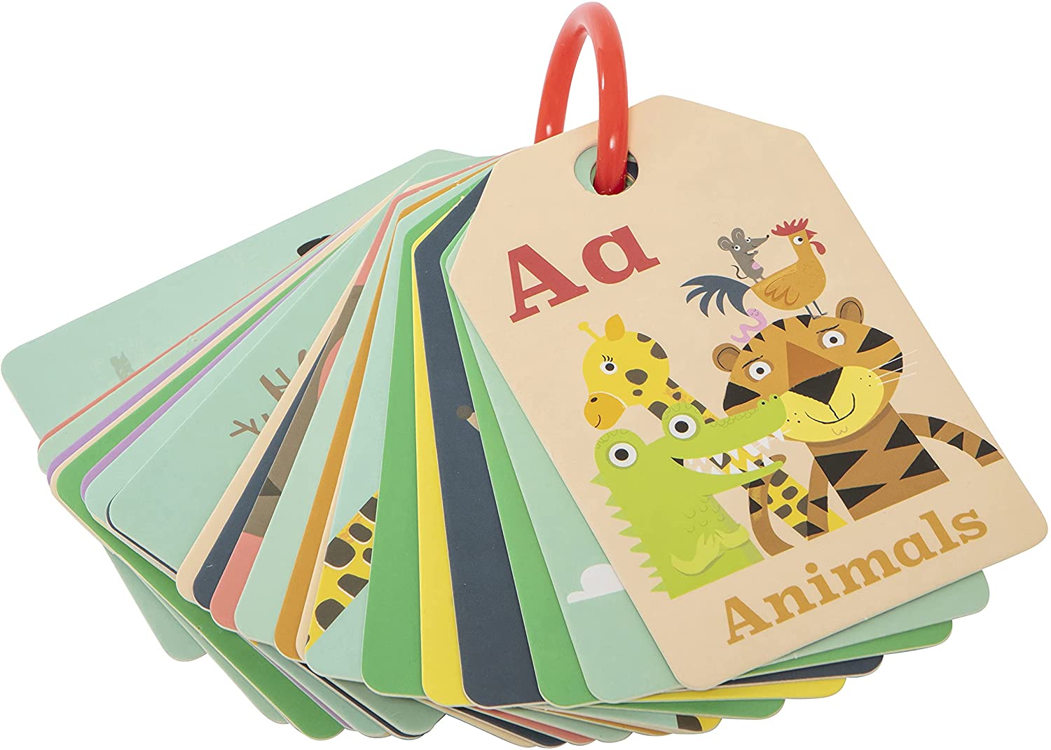 Buy Tiger Tribe Flash Cards Animal ABC Learning Toy | Yallatoys.com