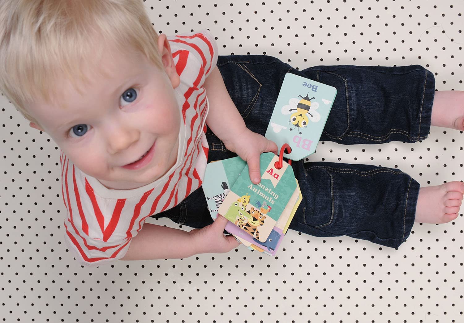 Buy Tiger Tribe Flash Cards Animal ABC Learning Toy | Yallatoys.com