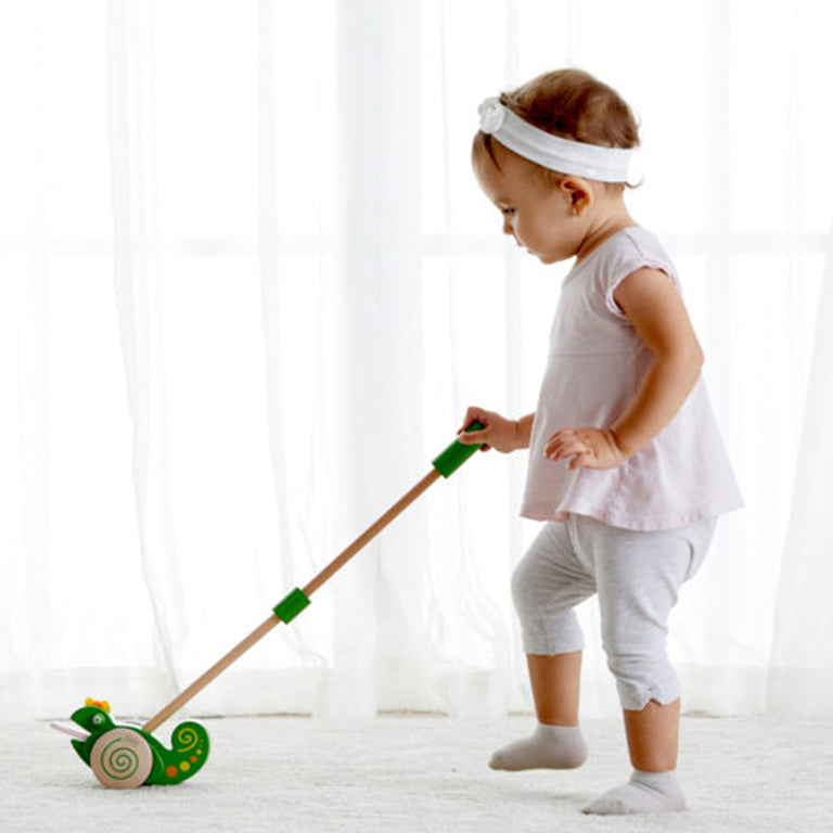 Buy Classic World Push Chameleon | Yallatoys.com