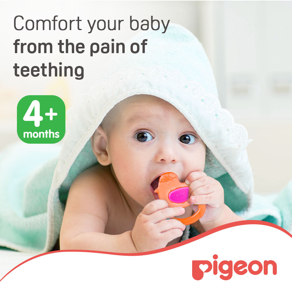 Pigeon Cooling Teether Duck Pigeon Yallatoys
