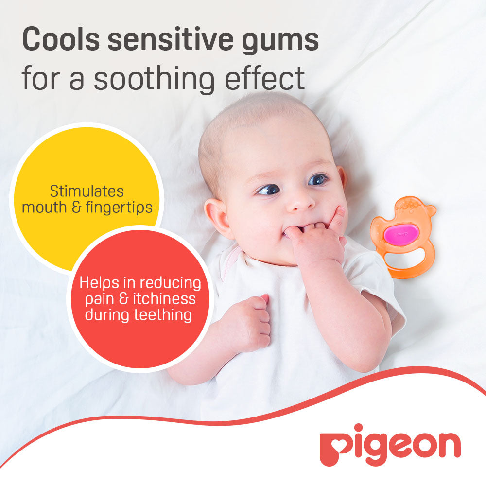 Pigeon Cooling Teether Duck Pigeon Yallatoys