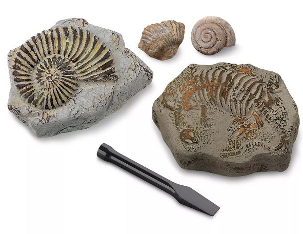 Buy Discovery Mind Blown Mini Fossil Dig 2 Piece Pack Set Excavation Kit, Interactive Archaeology Paleontology Experiment, Learn Science, Fun And Educational Steam Toy For Kids | Yallatoys.com