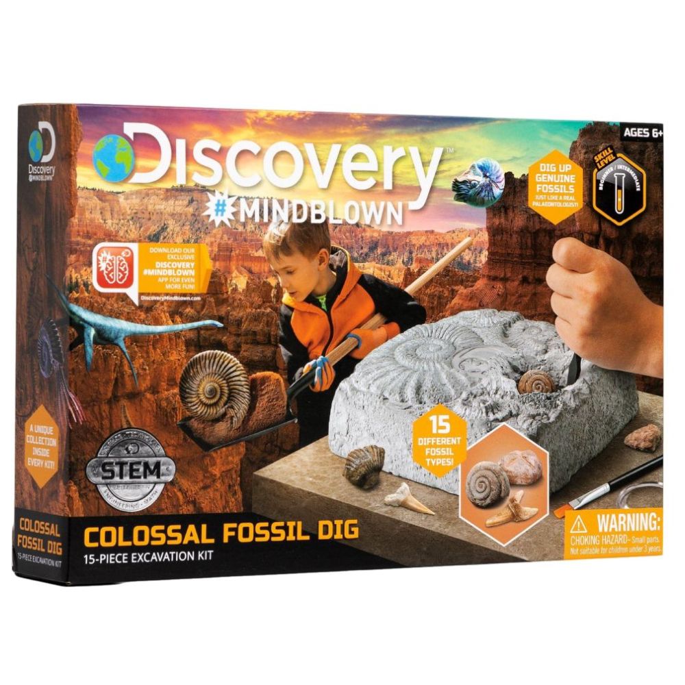 Buy Discovery Mind Blown Fossil Excavation Kit 15pcs | Yallatoys.com