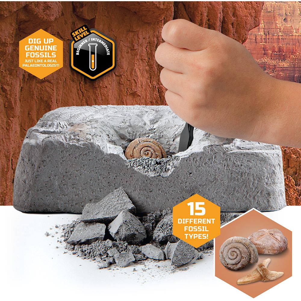 Buy Discovery Mind Blown Fossil Excavation Kit 15pcs | Yallatoys.com