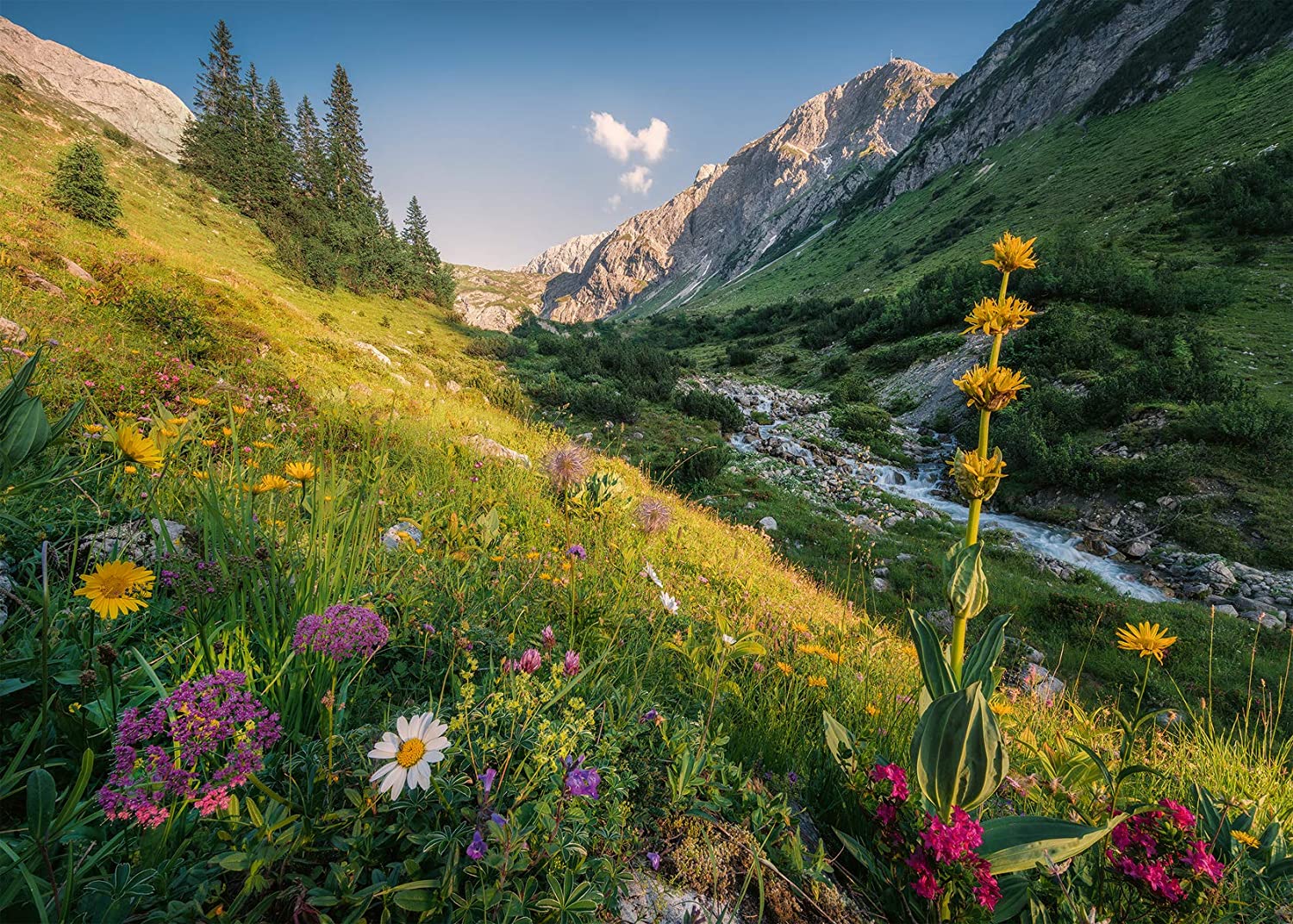 Buy Ravensburger Magical Valley 1000pcs Jigsaw Puzzle | Yallatoys.com