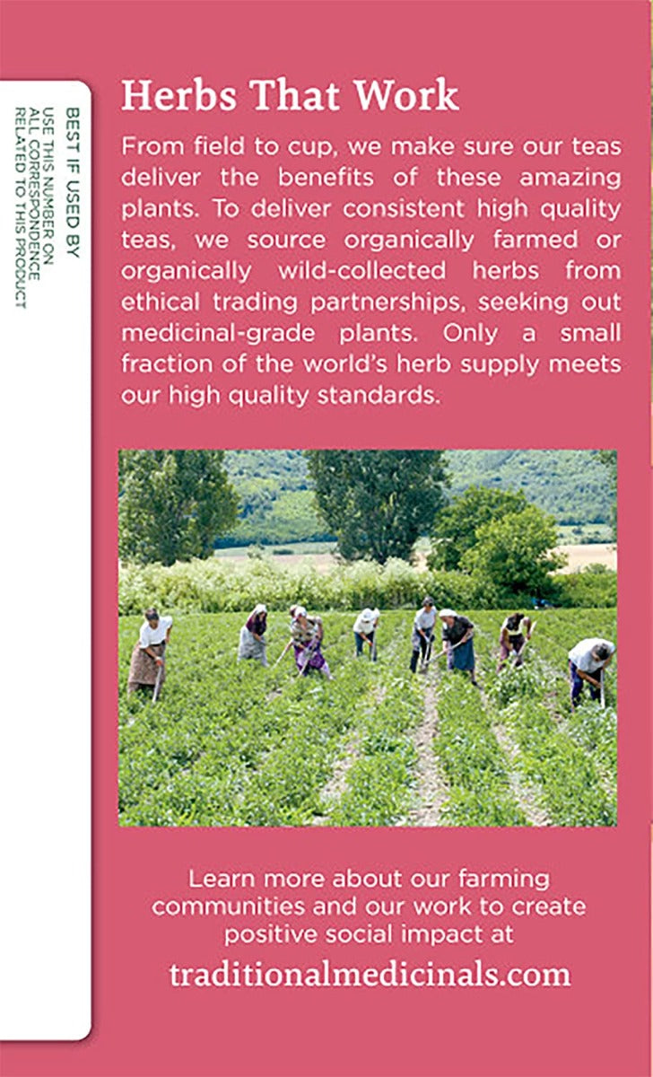 TM PREGNANCY TEA 16 TEA Traditional Medicinal Tea Yallatoys
