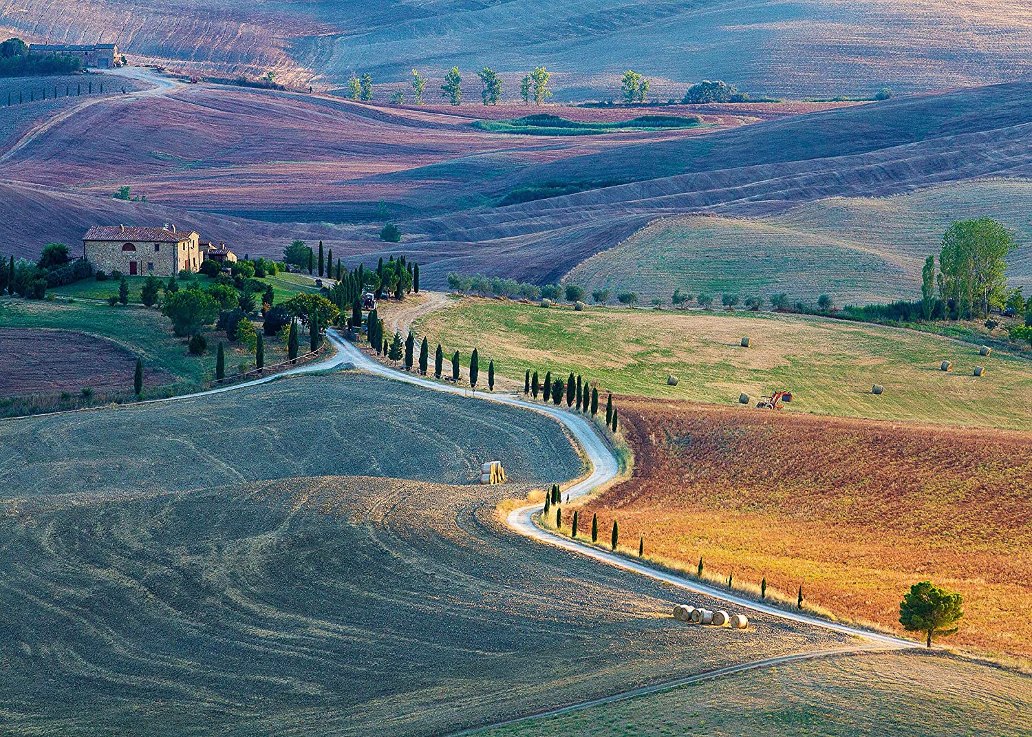 Buy Ravensburger Podere Terrap Pienza Siena 1000pcs Puzzle | Yallatoys.com
