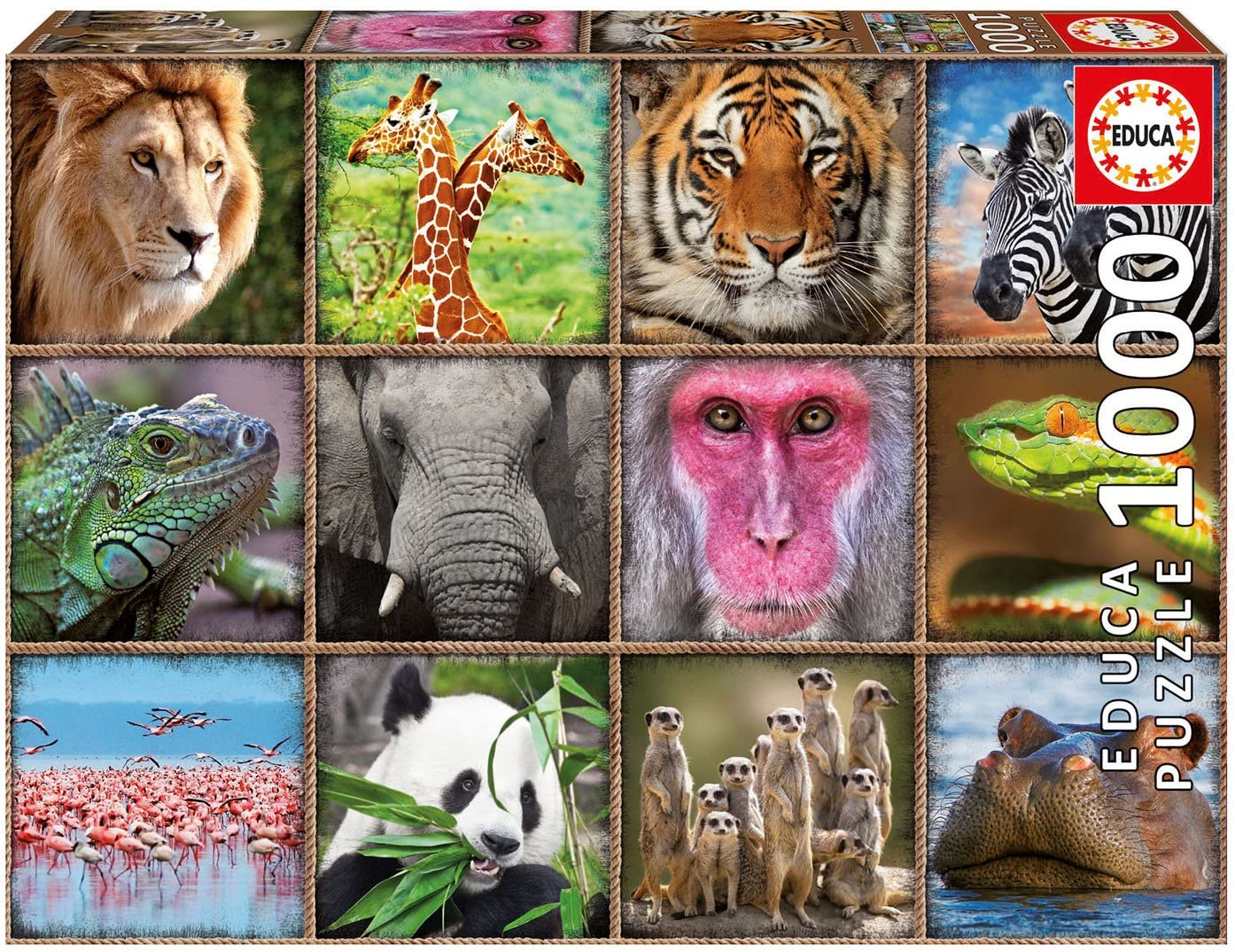 Buy Educa 1000 Wild Animals Collage | Yallatoys.com