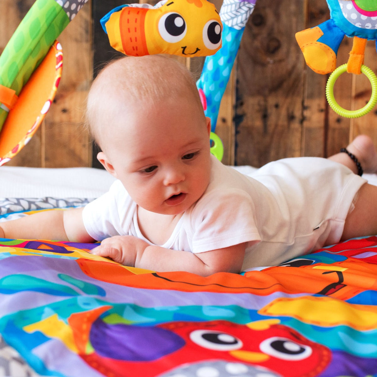 Playgro Clip Clop Musical Activity Gym Playgro Yallatoys