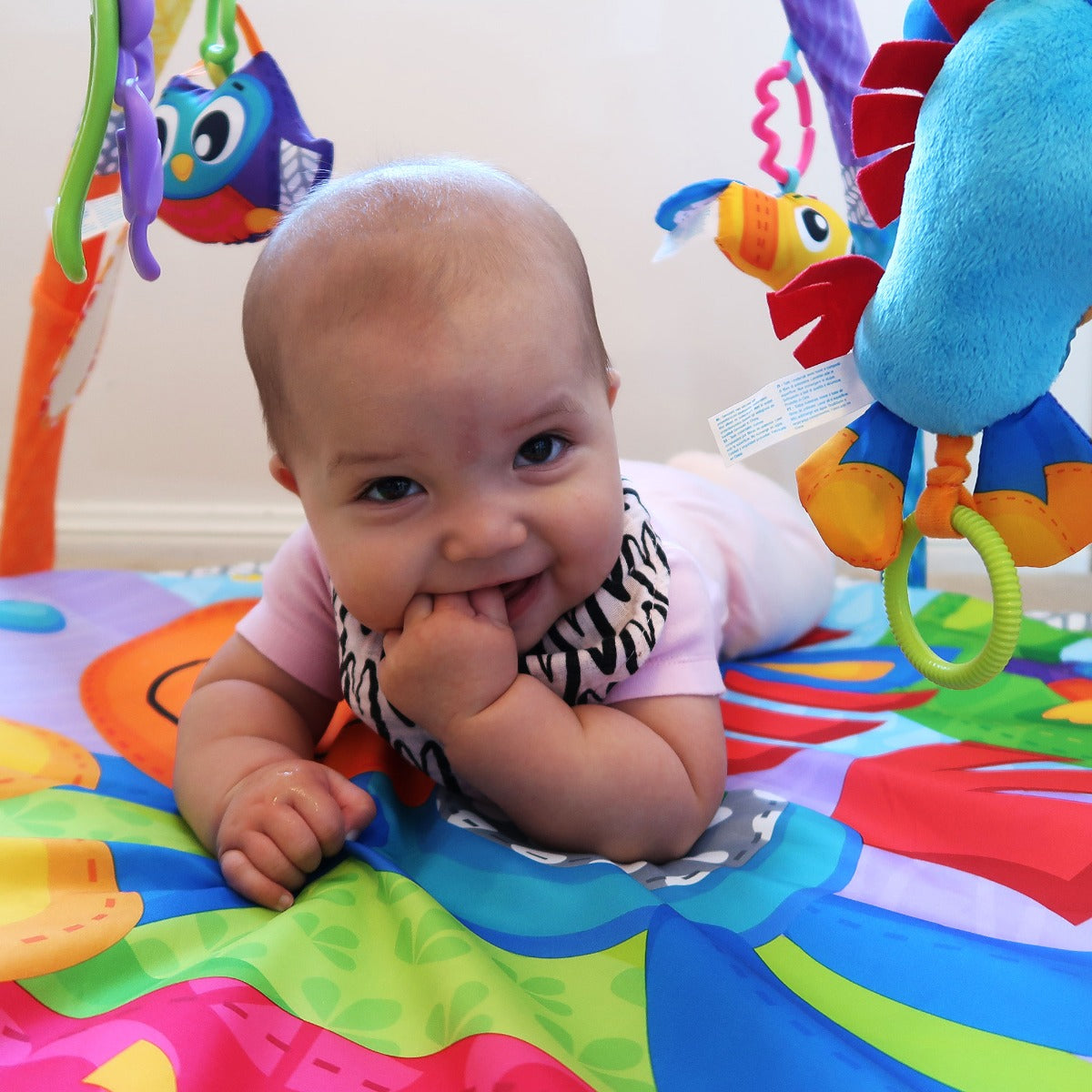 Playgro Clip Clop Musical Activity Gym Playgro Yallatoys