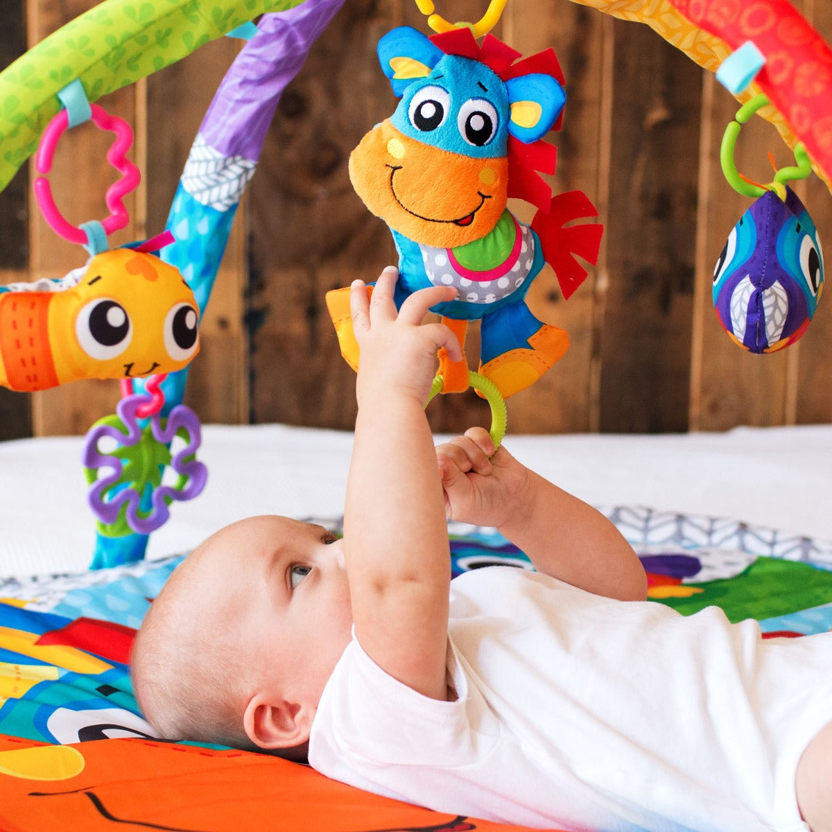Playgro Clip Clop Musical Activity Gym Playgro Yallatoys
