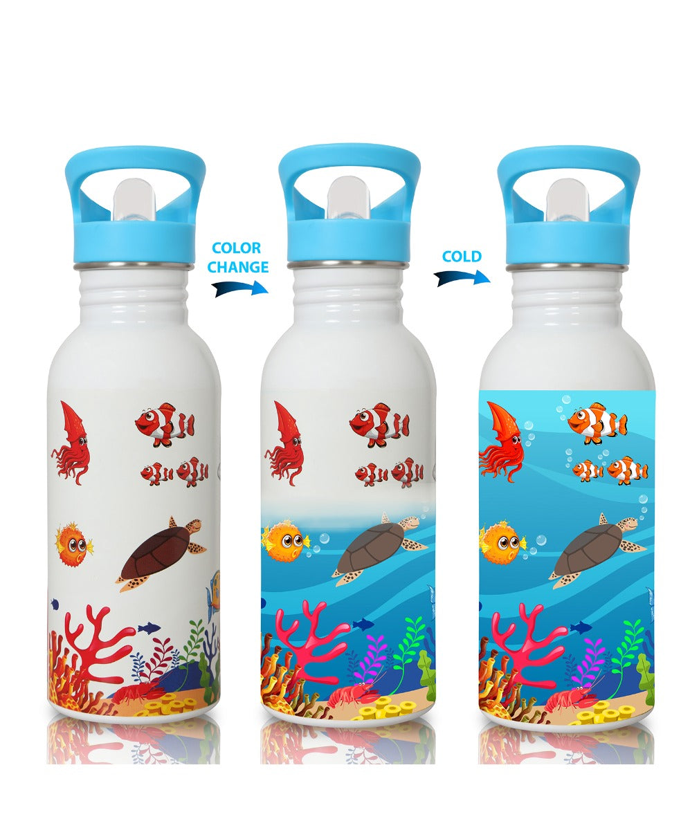 Buy Knack Sea World Magic Water Bottle | Yallatoys.com
