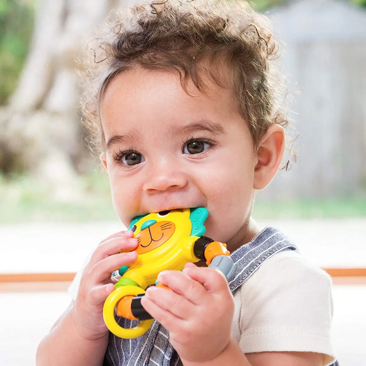 Infantino Bendy Lion Teether Infantino Yallatoys
