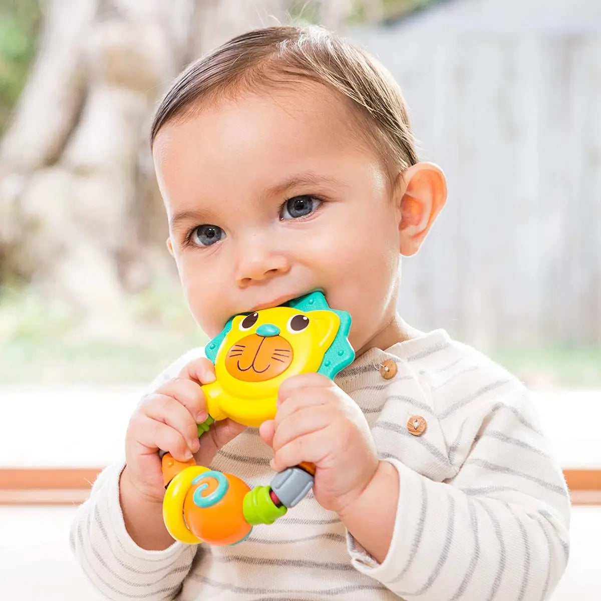 Infantino Bendy Lion Teether Infantino Yallatoys
