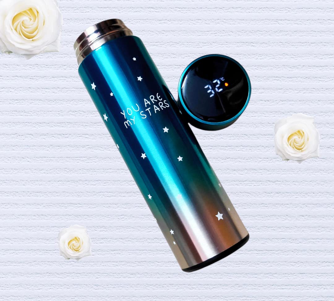 Home Basics Thermo Flask Printed  With Digital Thermometer Reading  -Assorted Colours Home Basics Yallatoys