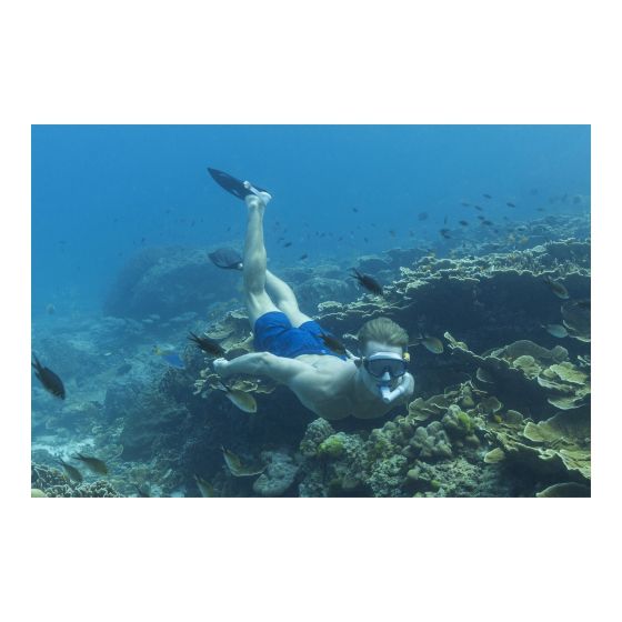 Buy Bestway Spark Wave Snorkel Set (Sold Separately Subject to Availability) | Yallatoys.com