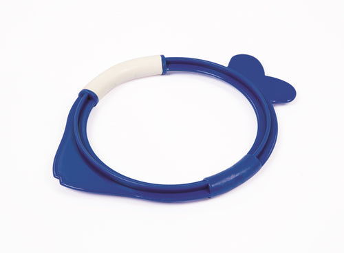 Buy Bestway Lil' Fish Dive Rings | Yallatoys.com