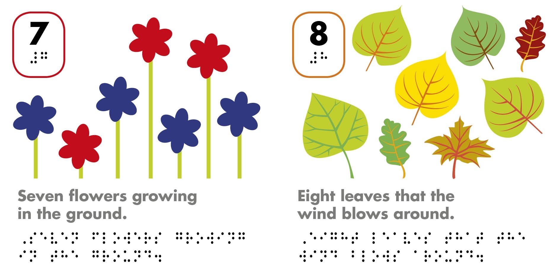 Buy Dk United Kingdom Braille Counting | Yallatoys.com