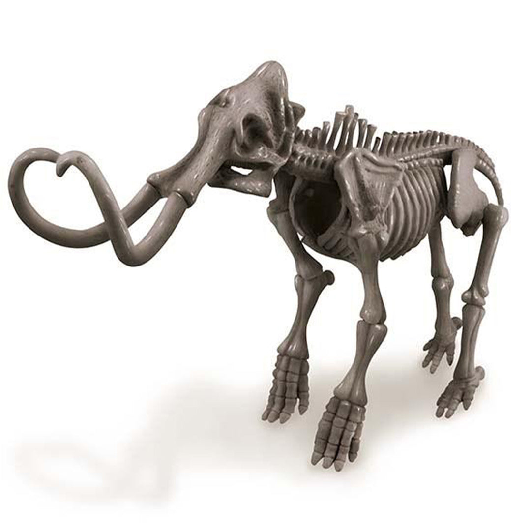 Buy 4M Dig A Mammoth Skeleton | Yallatoys.com
