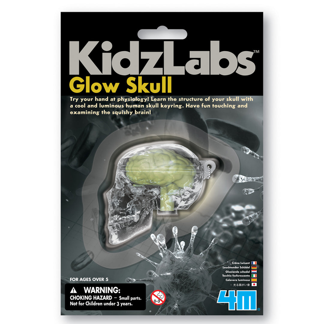 Buy 4M Glow Skull | Yallatoys.com