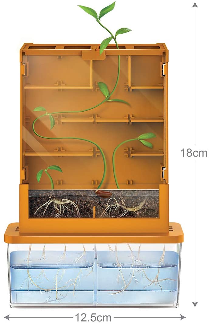 Buy 4M Grow-A-Maze Green Science Kit | Yallatoys.com