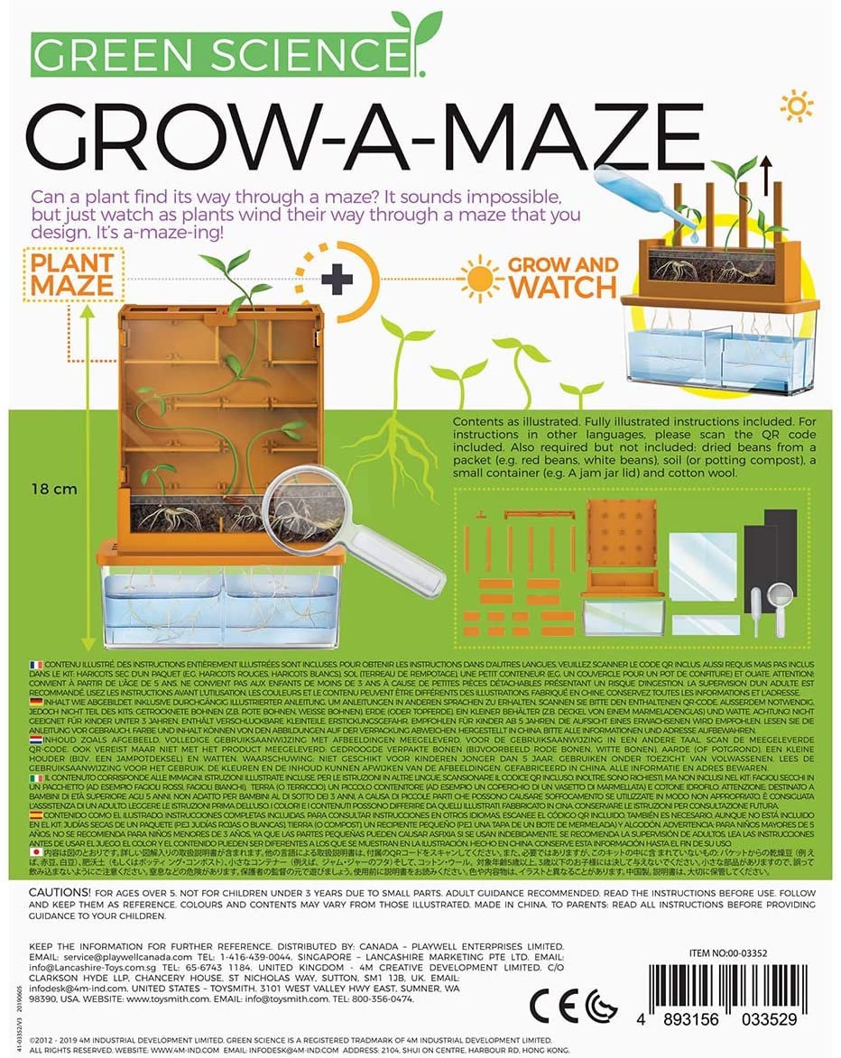 Buy 4M Grow-A-Maze Green Science Kit | Yallatoys.com
