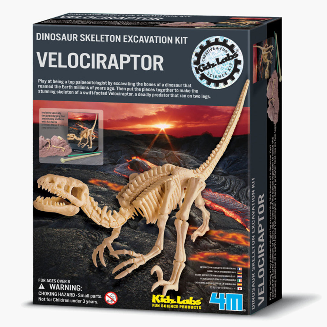 Buy 4M Kidz Labs Velociraptor Skeleton Excavation Set | Yallatoys.com