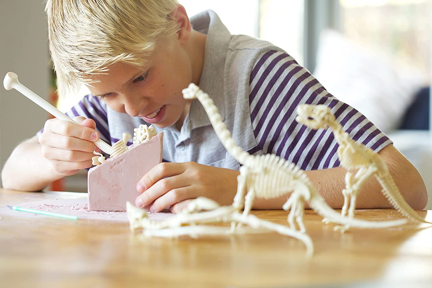 4M DIY Dinosaur Skeleton Excavation