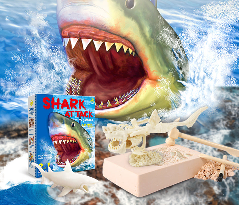 4M DIY Megalodon Shark Tooth Excavation Lab