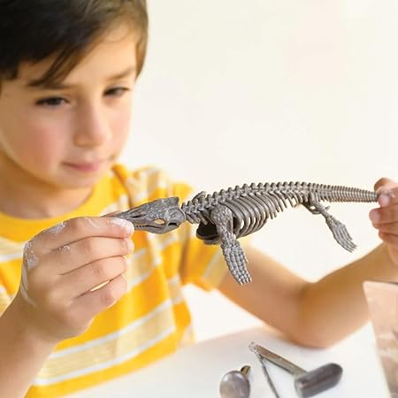 4M DIY Mosasaurus Fossil Dig Kit