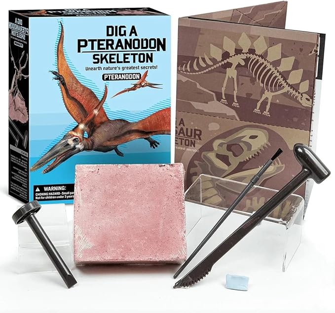 4M DIY Pteranodon Fossil Dig Kit