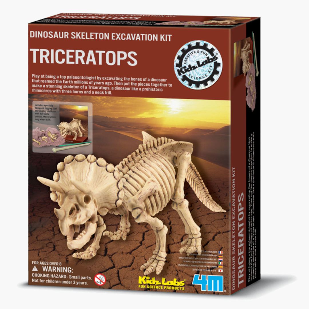 4M Dig Triceratops Skeleton Kit