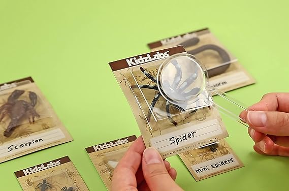 4M KidzLabs Bug Excavation Toy