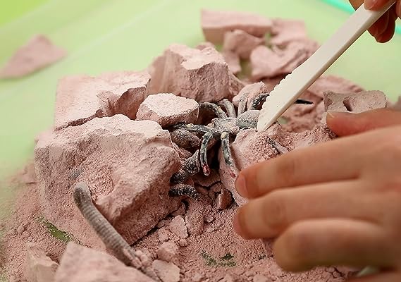 4M STEM Treasure Island Discovery Kit