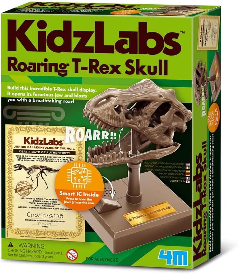 4M dino skull excavation kit