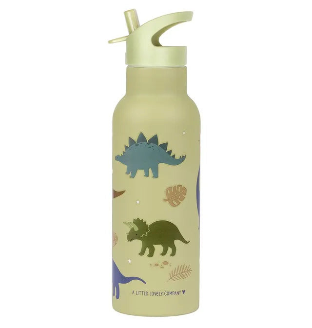 500ml Dinosaur Print Stainless Steel Bottle