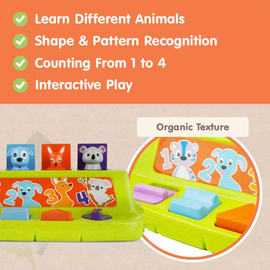 Buy Roo Crew Animal Alligator Interactive Learning Toy | Yallatoys.com