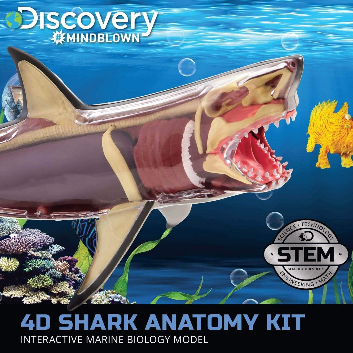 Buy Discovery Mind Blown Anatomy 4D Shark | Yallatoys.com