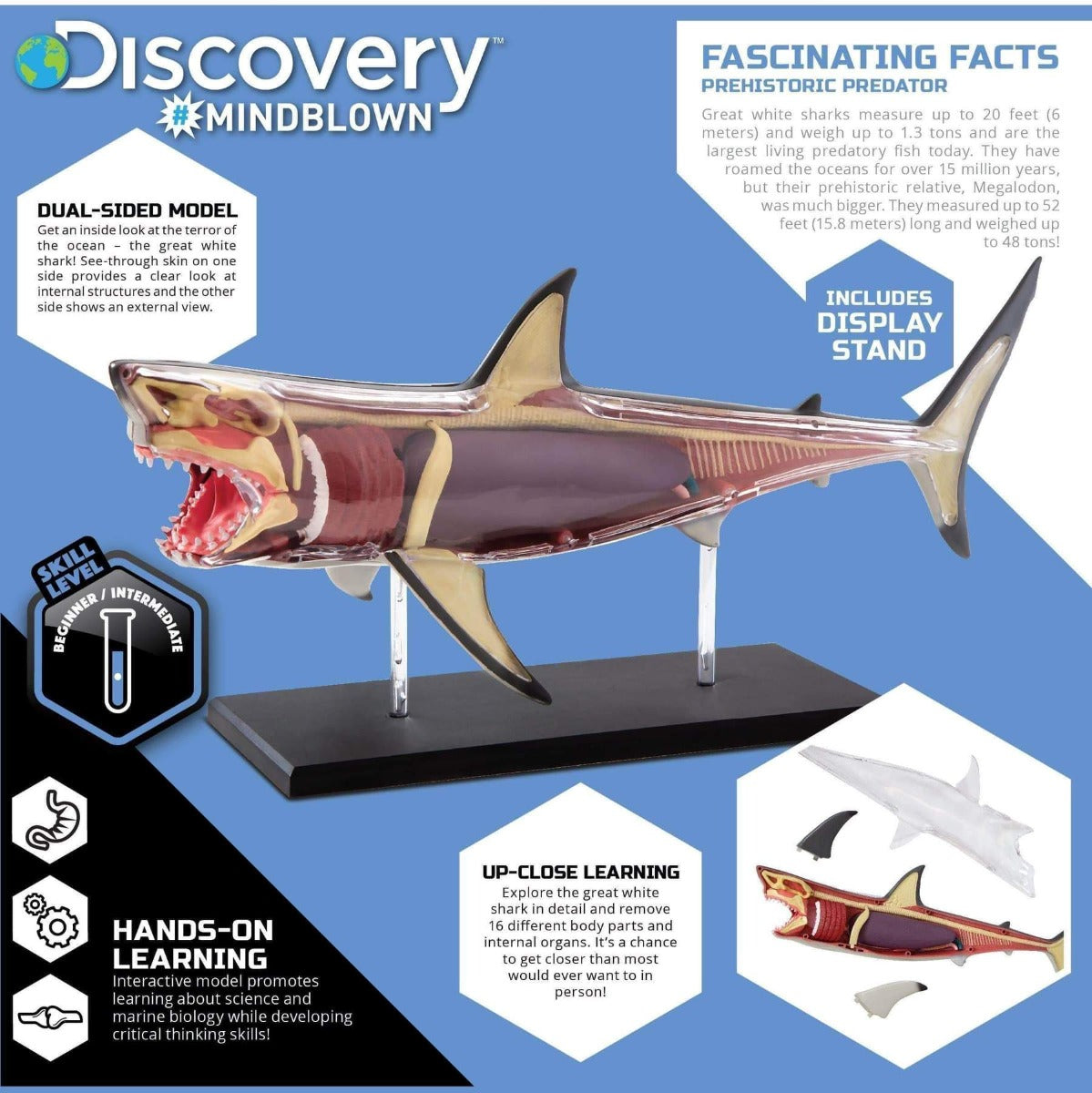 Buy Discovery Mind Blown Anatomy 4D Shark | Yallatoys.com