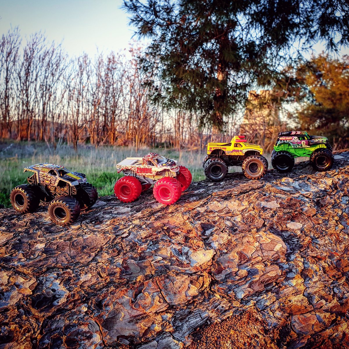 Buy Monster Jam Vehicles (Sold Separately Subject to Availability) | Yallatoys.com