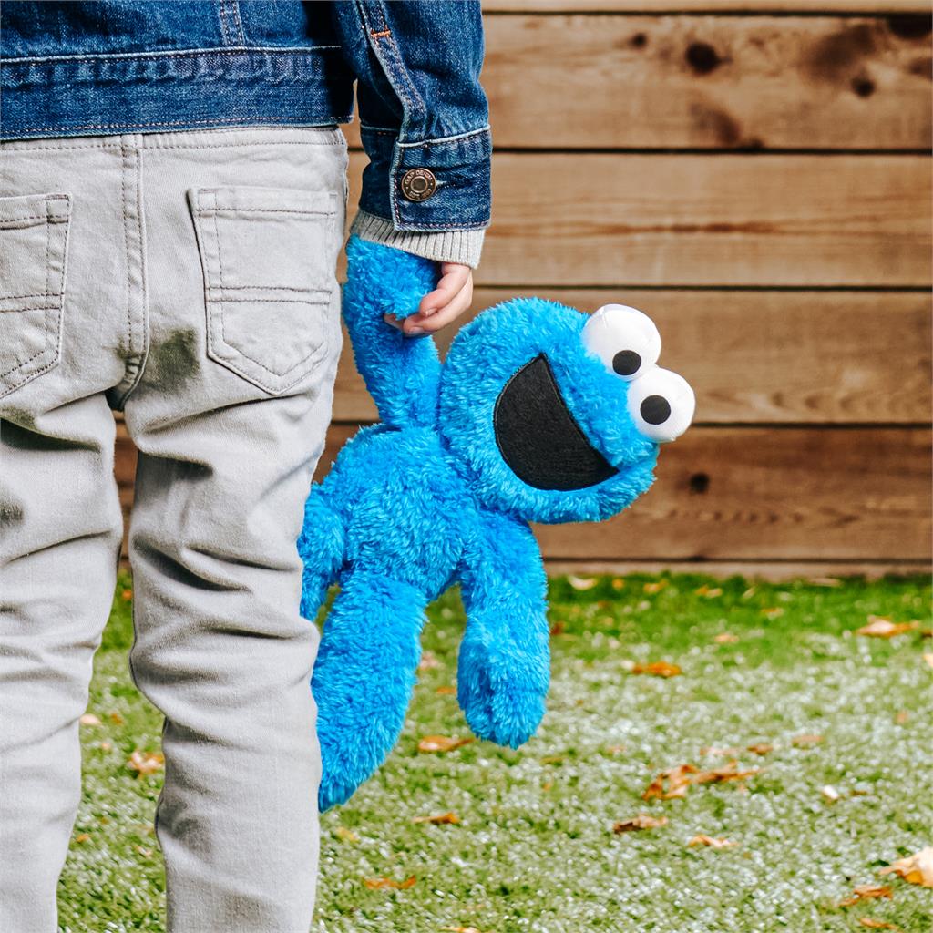 Buy Gund Sesame Street Take Along Buddy 12.5inch Cookie Monster Plush Toy | Yallatoys.com