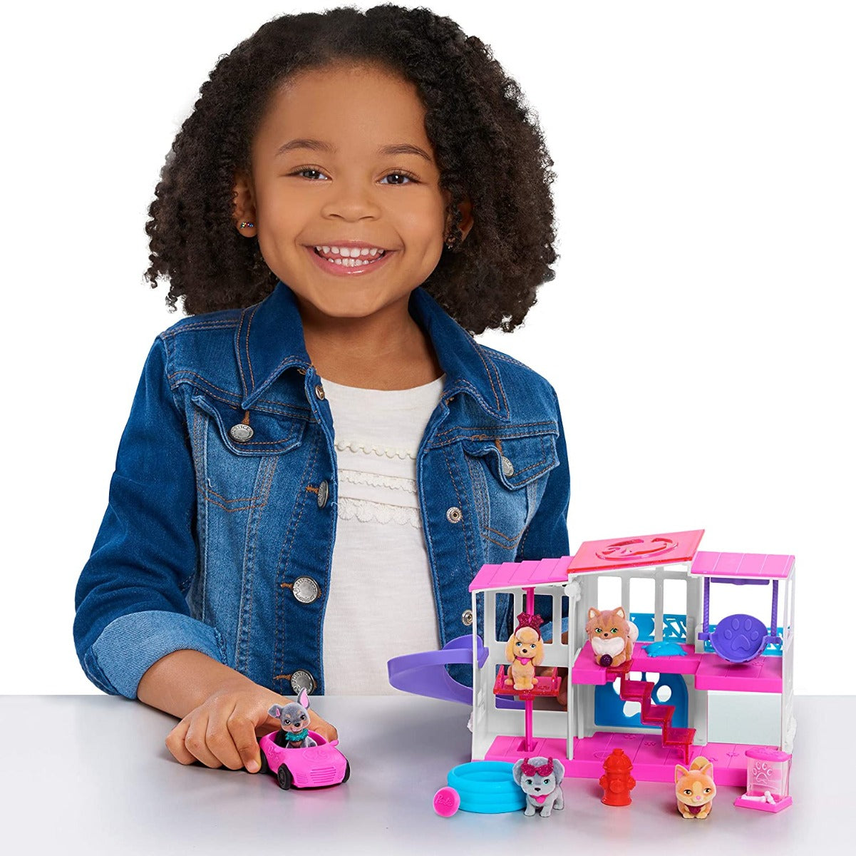 Buy Barbie Pet Dreamhouse 2 Sided Playset 10pieces | Yallatoys.com