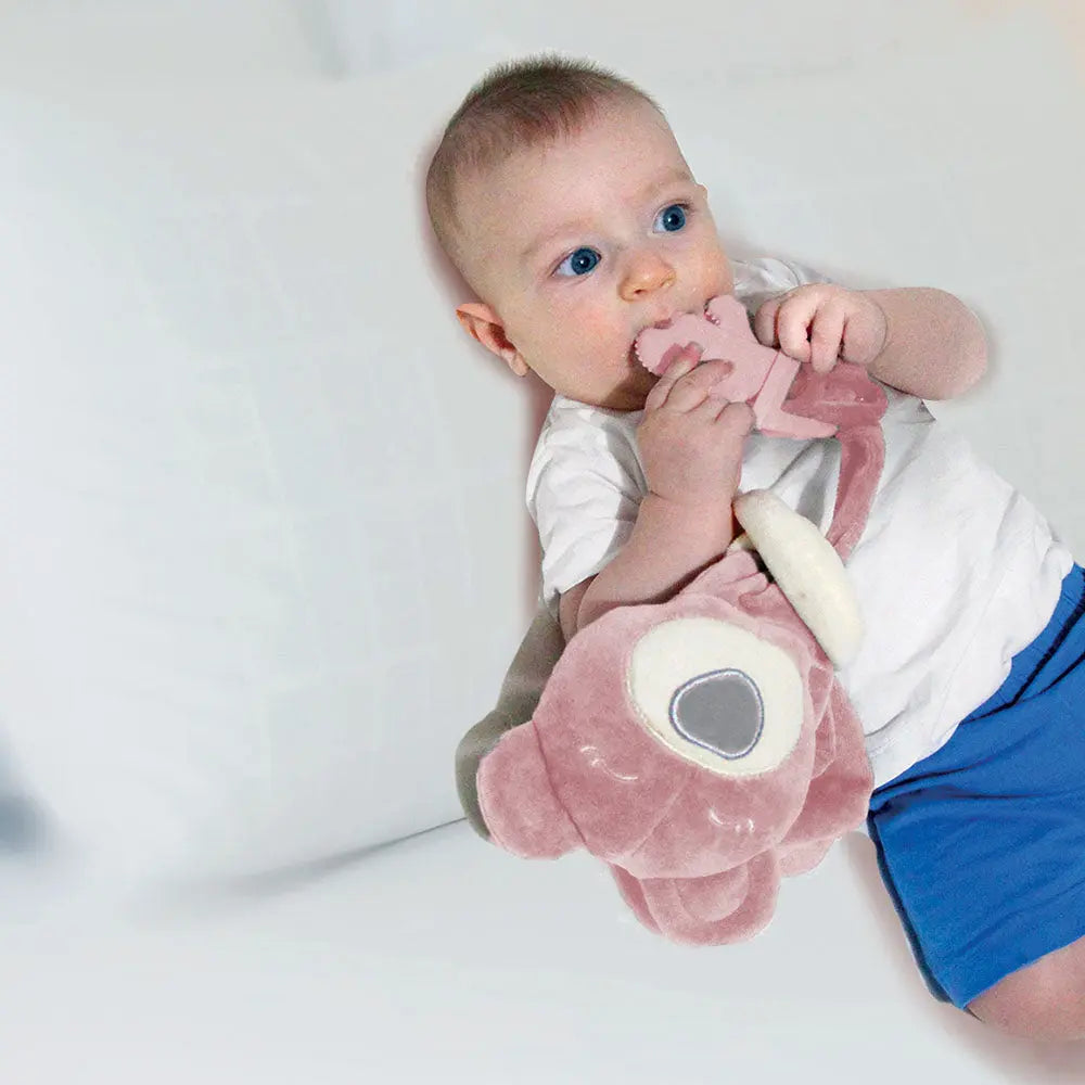 Babyjem Sleep Teddy Bear Teether Rose 0 Months+ Babyjem Yallatoys