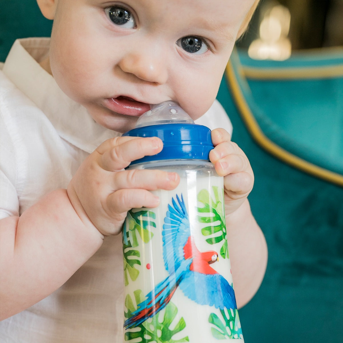 Tommy Lise Feeding Bottle Feathery Mood 250 Ml. Tommy Lise Yallatoys