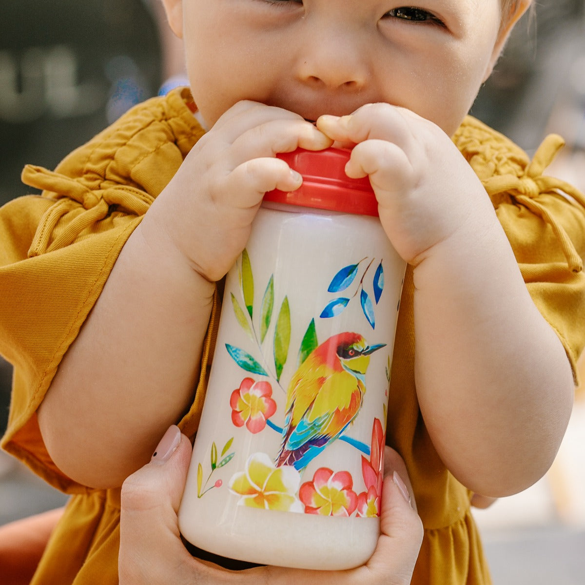 Tommy Lise Feeding Bottle Blooming Day 360 Ml. Tommy Lise Yallatoys