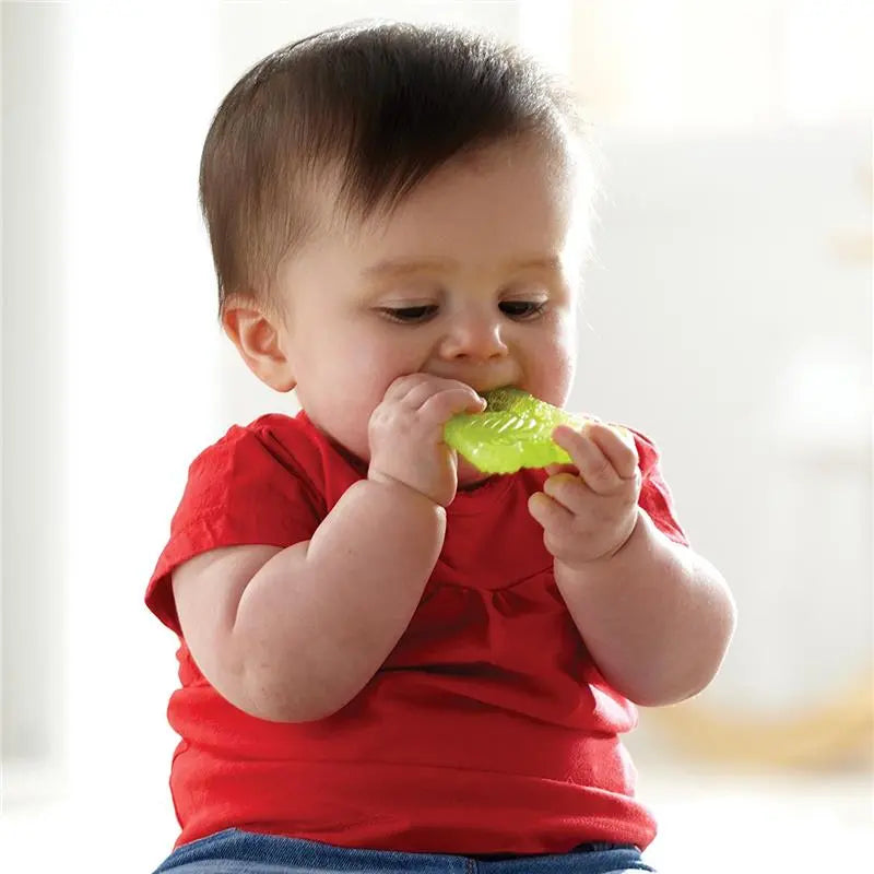Munchkin Fun Ice Chewy Teether 1Pk Munchkin Yallatoys