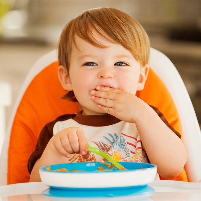 Munchkin Stay Put Suction Plate 1Pk Blue Munchkin Yallatoys